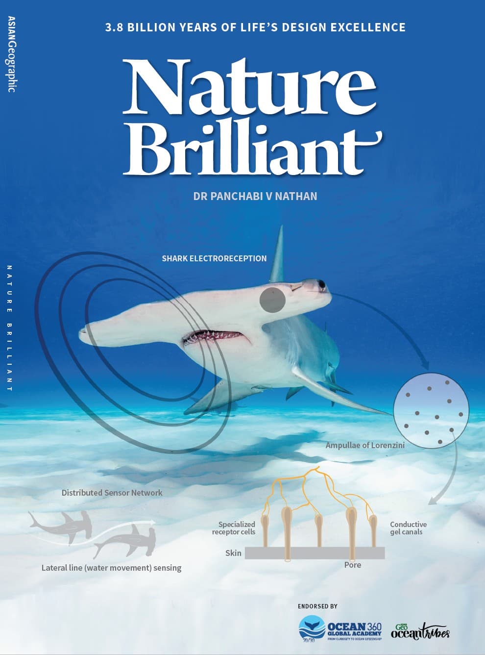 Nature Brilliant — book cover featuring hammerhead shark with electroreception diagram